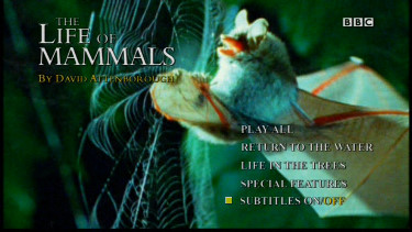 The Life of Mammals - David Attenborough